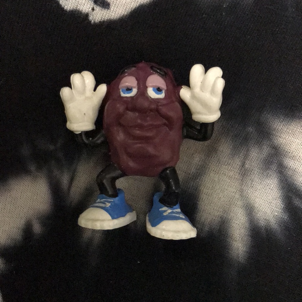 California Raisins - Picture 12 of 16